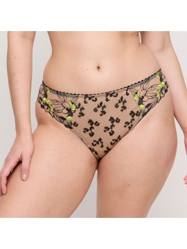 Prima Donna Manali Rio Brief